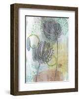 Seed Pod Composition IV-Naomi McCavitt-Framed Art Print