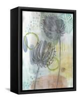 Seed Pod Composition IV-Naomi McCavitt-Framed Stretched Canvas