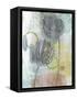 Seed Pod Composition IV-Naomi McCavitt-Framed Stretched Canvas