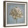 Seed Pod I no Stamp-Beth Grove-Framed Art Print