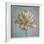 Seed Pod I no Stamp-Beth Grove-Framed Art Print