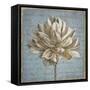 Seed Pod I no Stamp-Beth Grove-Framed Stretched Canvas