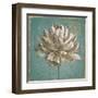 Seed Pod I no Words Turquoise-Beth Grove-Framed Art Print