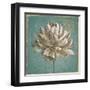 Seed Pod I no Words Turquoise-Beth Grove-Framed Art Print