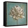 Seed Pod I no Words Turquoise-Beth Grove-Framed Stretched Canvas