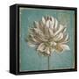 Seed Pod I no Words Turquoise-Beth Grove-Framed Stretched Canvas