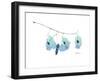 Seed Pods L244-Albert Koetsier-Framed Art Print