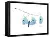 Seed Pods L244-Albert Koetsier-Framed Stretched Canvas