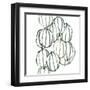 Seed Vessels I-June Erica Vess-Framed Art Print