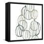 Seed Vessels II-June Erica Vess-Framed Stretched Canvas