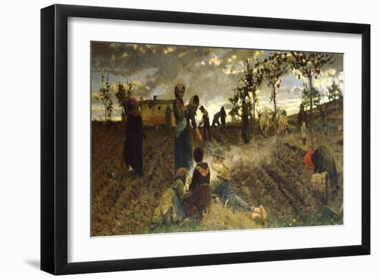 Seeding in Tuscany-Niccolo Cannicci-Framed Premium Giclee Print