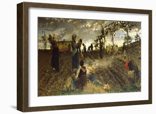 Seeding in Tuscany-Niccolo Cannicci-Framed Giclee Print