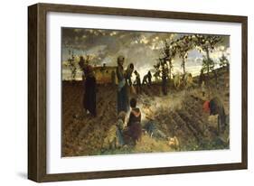 Seeding in Tuscany-Niccolo Cannicci-Framed Giclee Print