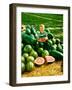 Seedless Watermelons at Purdue University-John Dominis-Framed Photographic Print