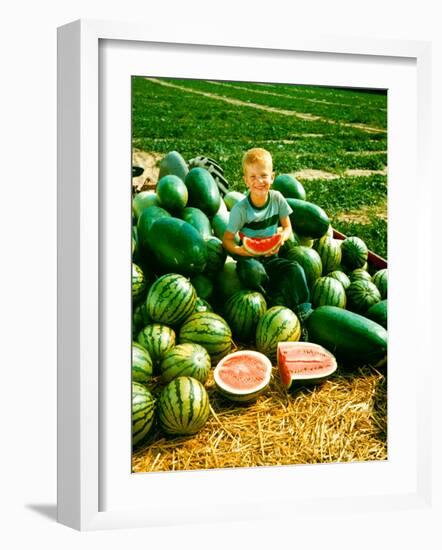 Seedless Watermelons at Purdue University-John Dominis-Framed Photographic Print