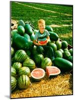 Seedless Watermelons at Purdue University-John Dominis-Mounted Photographic Print