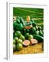 Seedless Watermelons at Purdue University-John Dominis-Framed Photographic Print