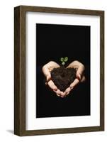 Seedling in Man's Hands-Sean Justice-Framed Photographic Print