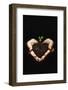 Seedling in Man's Hands-Sean Justice-Framed Photographic Print