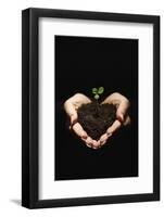 Seedling in Man's Hands-Sean Justice-Framed Photographic Print