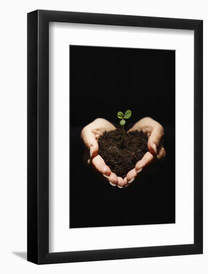 Seedling in Man's Hands-Sean Justice-Framed Photographic Print