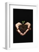 Seedling in Man's Hands-Sean Justice-Framed Photographic Print