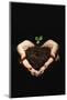 Seedling in Man's Hands-Sean Justice-Mounted Photographic Print