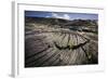 Seedlings Sprouting in Lava Field-Jon Hicks-Framed Photographic Print