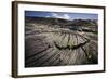 Seedlings Sprouting in Lava Field-Jon Hicks-Framed Photographic Print