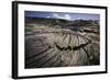 Seedlings Sprouting in Lava Field-Jon Hicks-Framed Photographic Print
