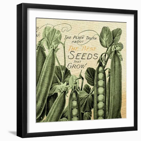 Seeds 1-null-Framed Giclee Print