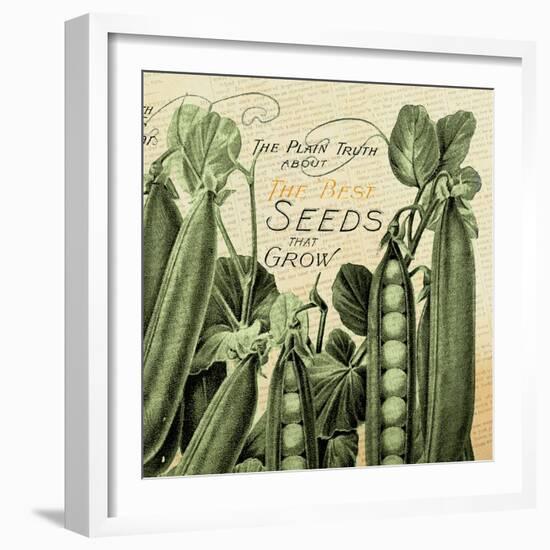 Seeds 1-null-Framed Giclee Print