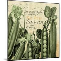Seeds 1-null-Mounted Giclee Print