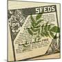Seeds 4-null-Mounted Giclee Print