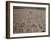 Seeds and Flowers-George Strock-Framed Photographic Print