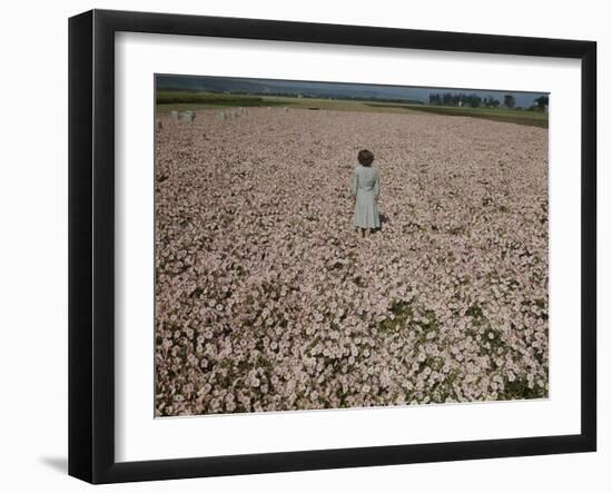 Seeds and Flowers-George Strock-Framed Photographic Print