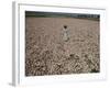 Seeds and Flowers-George Strock-Framed Photographic Print