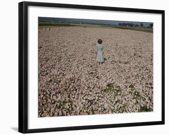 Seeds and Flowers-George Strock-Framed Photographic Print