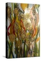 Seeds and weeds-Margaret Coxall-Stretched Canvas