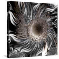 Seeds from the Sun-Mindy Sommers-Stretched Canvas