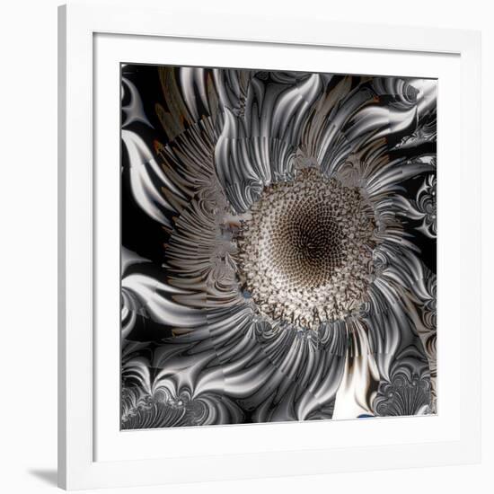 Seeds from the Sun-Mindy Sommers-Framed Giclee Print