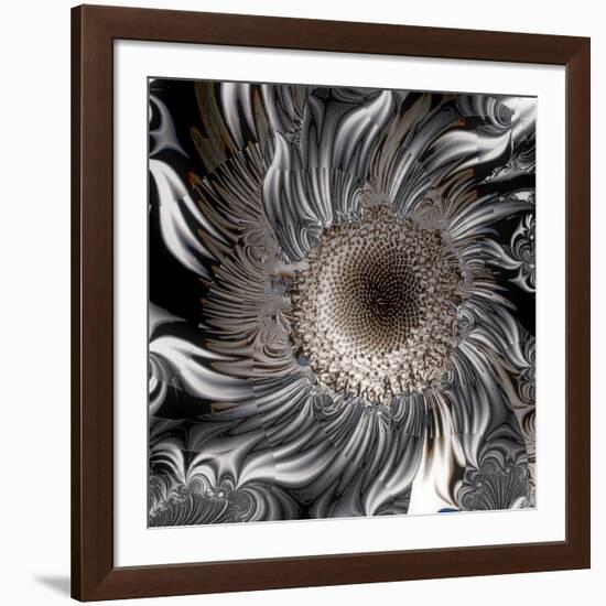 Seeds from the Sun-Mindy Sommers-Framed Giclee Print