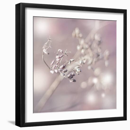 Seeds Of Life-Viviane Fedieu Daniel-Framed Photographic Print