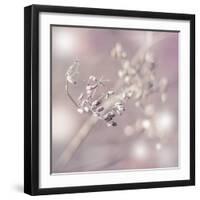 Seeds Of Life-Viviane Fedieu Daniel-Framed Photographic Print