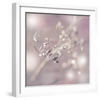 Seeds Of Life-Viviane Fedieu Daniel-Framed Photographic Print