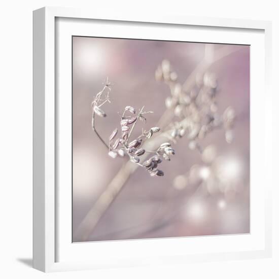 Seeds Of Life-Viviane Fedieu Daniel-Framed Photographic Print