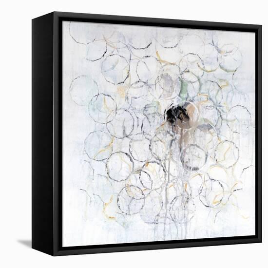 Seeds-Ann Tygett Jones Studio-Framed Stretched Canvas