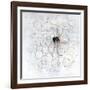 Seeds-Ann Tygett Jones Studio-Framed Giclee Print