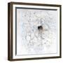 Seeds-Ann Tygett Jones Studio-Framed Giclee Print