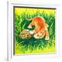 Seeing Eye to Eye - Jack & Jill-Rae Owings-Framed Giclee Print